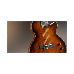 Cort Sunset Nylectric DLX