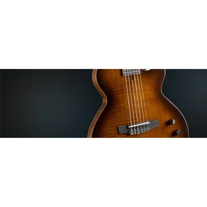 Cort Sunset Nylectric DLX