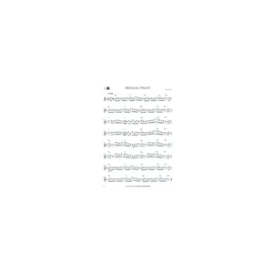 De Haske Irish Melodies for Flute