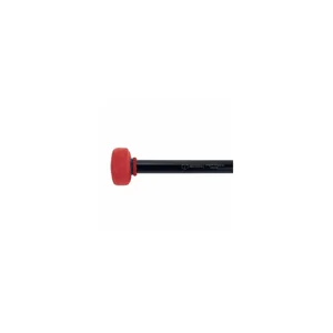 Dragonfly Percussion Cynthia Yeh Rite of Spring BD