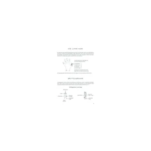 Edition Dux Schule for Ukulele