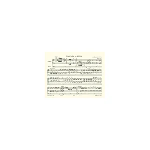 Edition Peters Bach Toccata Und Fuge BWV 565