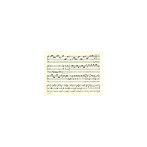 Edition Peters Bach Toccata Und Fuge BWV 565
