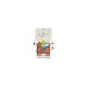 Electro Harmonix Canyon Delay & Looper