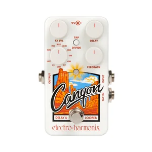 Electro Harmonix Canyon Delay & Looper