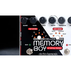 Electro Harmonix Deluxe Memory Boy