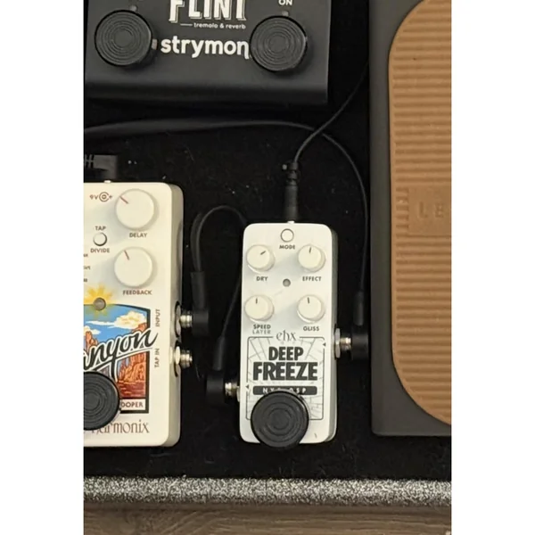 Electro Harmonix Pico Deep Freeze