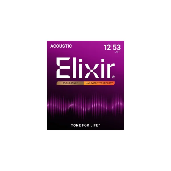 Elixir Acoustic/E-Guitar Bundle