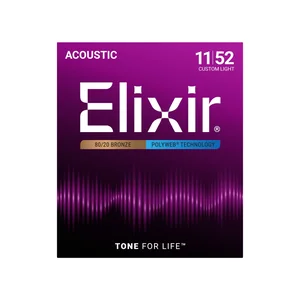 Elixir Polyweb Custom Light Acoustic