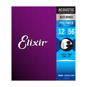 Elixir Polyweb Light-Medium Acoustic