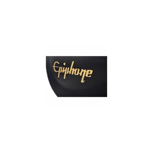 Epiphone 940-E339 Case
