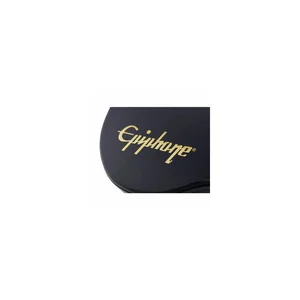 Epiphone Case Allen Woody 940-EAKCS