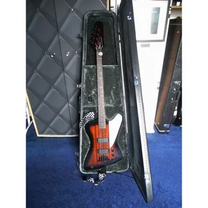 Epiphone Case Thunderbird