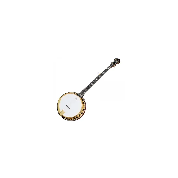 Epiphone Earl Scruggs Golden Deluxe