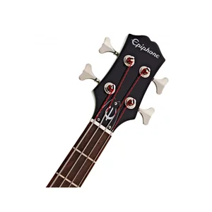 Epiphone Embassy Bass Wanderlust Green