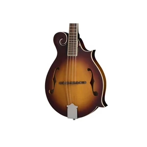 Epiphone F-5 Studio VS Satin