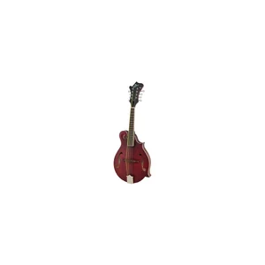 Epiphone F-5 Studio WR Satin
