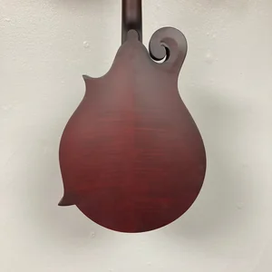 Epiphone F-5 Studio WR Satin