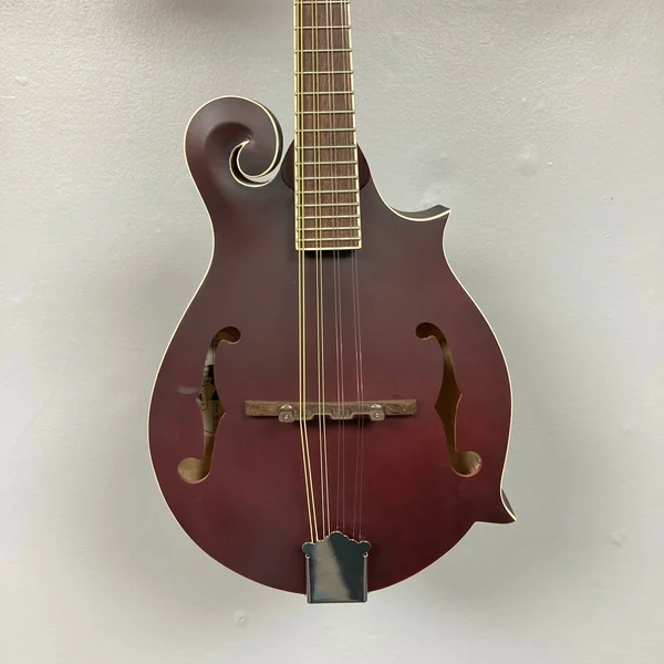 Epiphone F-5 Studio WR Satin