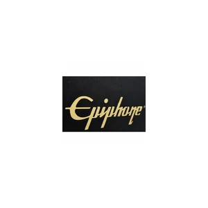 Epiphone Flying V Case