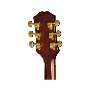 Epiphone Hummingbird Standard EC N