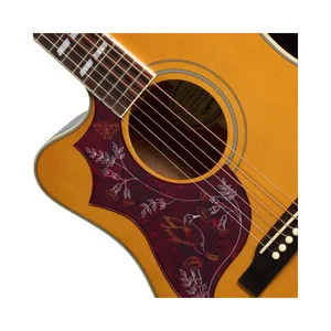 Epiphone Hummingbird Studio EC AN LH