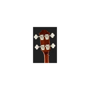 Epiphone Jack Casady Signature Bass SB