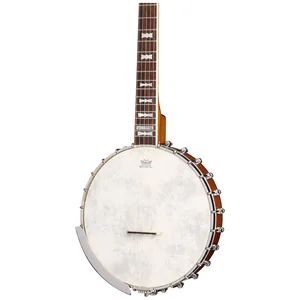 Epiphone Mastertone Bow Tie OB Banjo