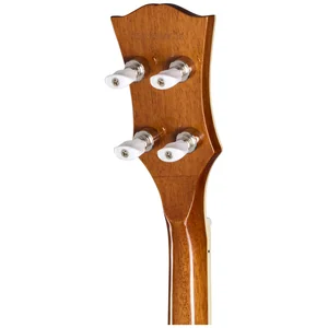 Epiphone Mastertone Bow Tie OB Banjo