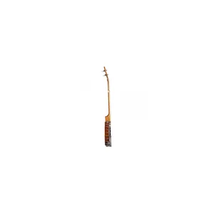 Epiphone Mastertone Bow Tie OB Banjo
