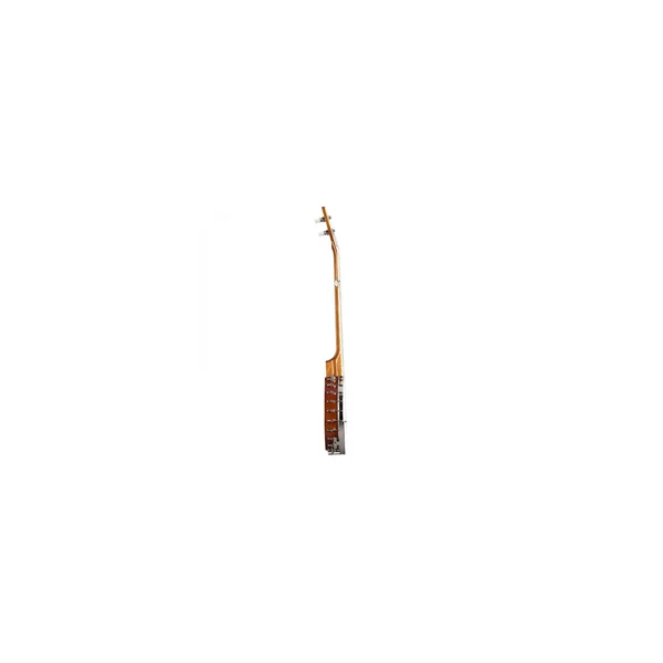 Epiphone Mastertone Bow Tie OB Banjo