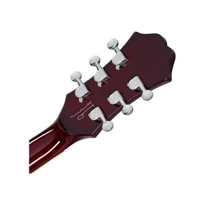 Epiphone Noel Gallagher Riviera