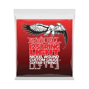 Ernie Ball 12-string Light Nickel Wound