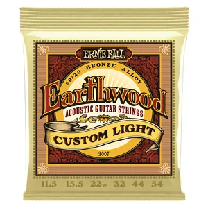 Ernie Ball 2007 Earthwood Custom Bronze