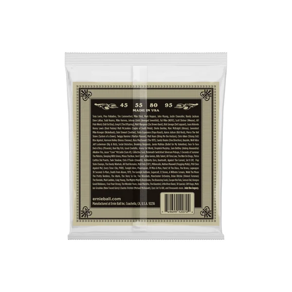Ernie Ball 2070 Earthwood
