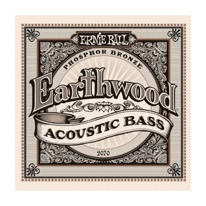 Ernie Ball 2070 Earthwood