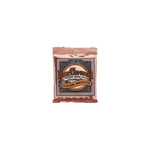 Ernie Ball 2143 Earthwood Custom Phospor