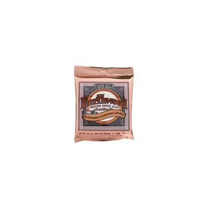 Ernie Ball 2152 Earthwood Custom Bronze