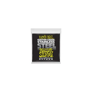 Ernie Ball 2246 Stainless Regular