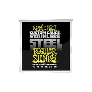 Ernie Ball 2246 Stainless Regular