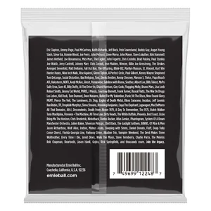 Ernie Ball 2248