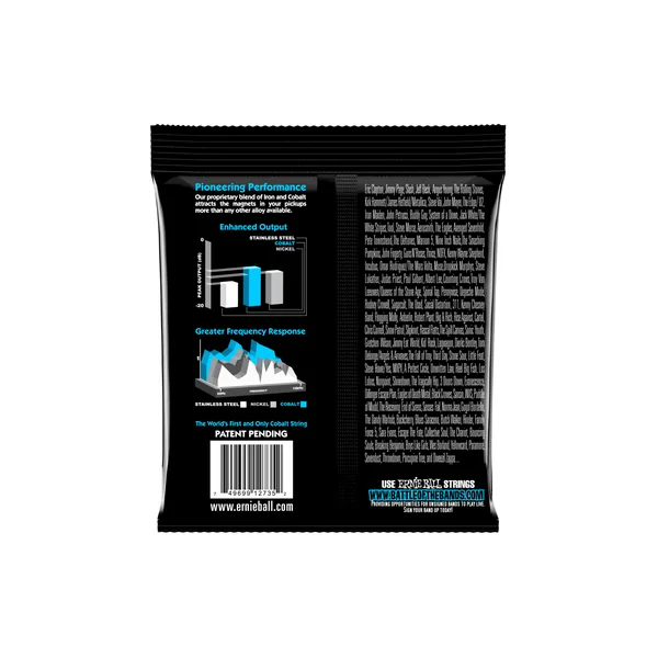 Ernie Ball 2731