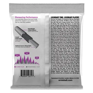 Ernie Ball 2811