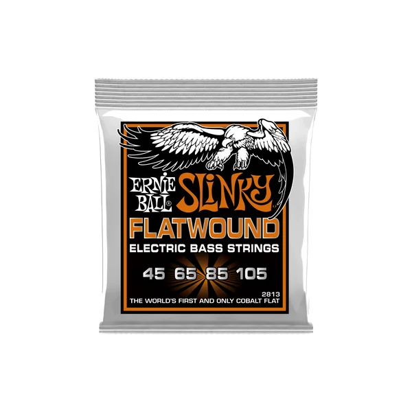 Ernie Ball 2813