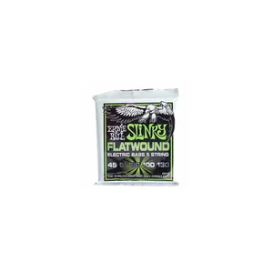 Ernie Ball 2816