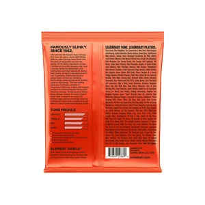 Ernie Ball 2838 Slinky