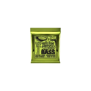 Ernie Ball 2852 Regular Slinky Short