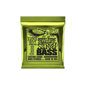 Ernie Ball 2852 Regular Slinky Short