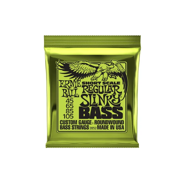 Ernie Ball 2852 Regular Slinky Short