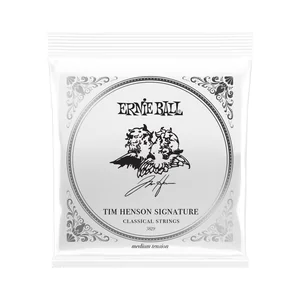 Ernie Ball 3829 Tim Henson Classical